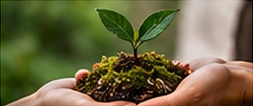 Quà tặng từ thiên nhiên: chọn hộp quà Đông trùng